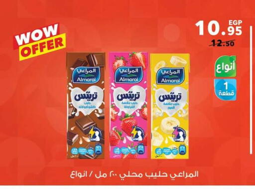available at Panda  in Egypt - Cairo