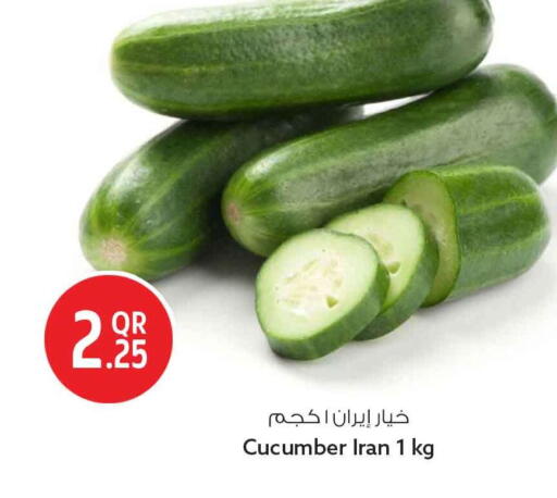 Cucumber from Iran available at سفاري هايبر ماركت in قطر - أم صلال