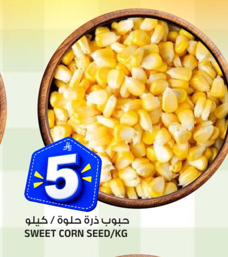 متوفر لدى المدينة هايبرماركت في مملكة العربية السعودية, السعودية, سعودية - الرياض