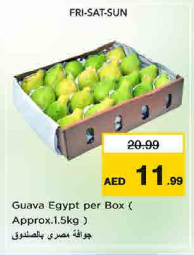 Guava from Egypt available at نستو هايبرماركت in الإمارات العربية المتحدة , الامارات - أم القيوين‎