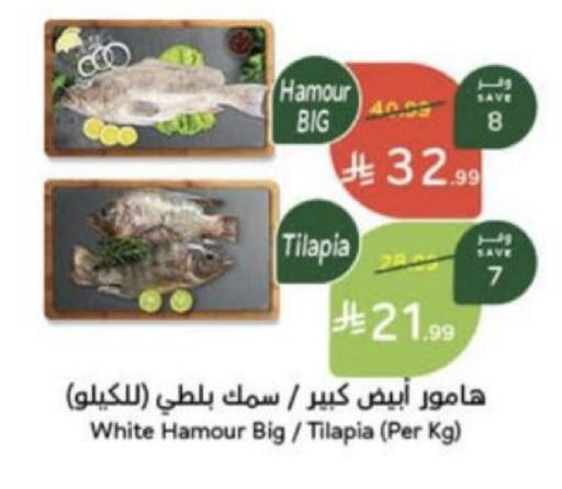 available at هايبر بنده in مملكة العربية السعودية, السعودية, سعودية - عنيزة