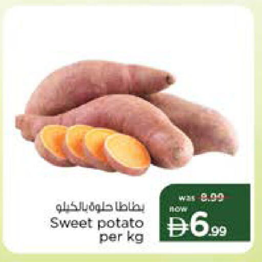 Sweet Potato available at نستو هايبرماركت in الإمارات العربية المتحدة , الامارات - دبي