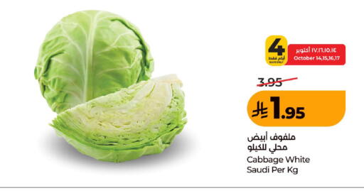 Cabbage from Saudi Arabia available at لولو هايبرماركت in مملكة العربية السعودية, السعودية, سعودية - المدينة المنورة