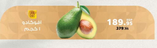 available at بنده in Egypt - القاهرة