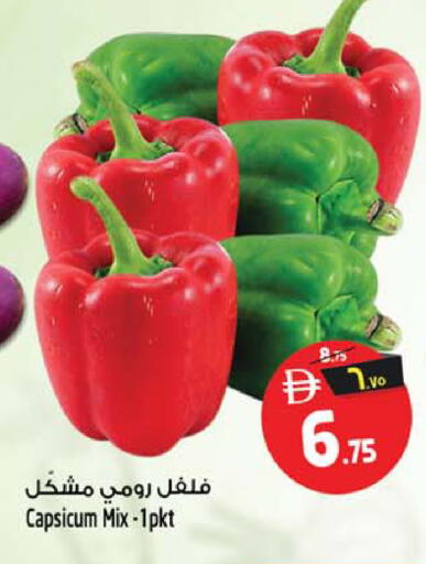 Capsicum متوفر لدى سفاري هايبرماركت في الإمارات العربية المتحدة , الامارات - دبي