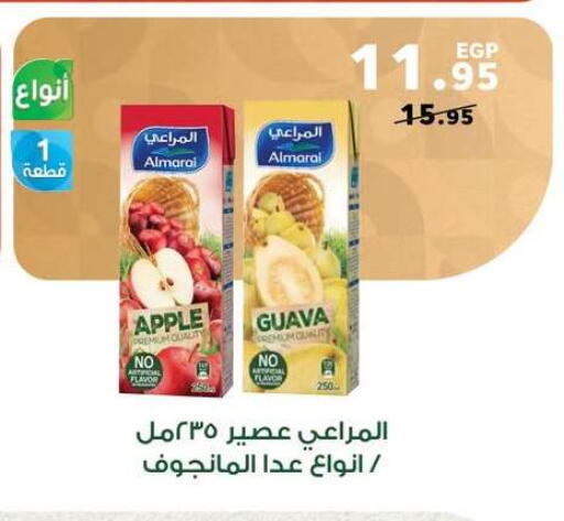Apple Guava available at Panda  in Egypt - Cairo