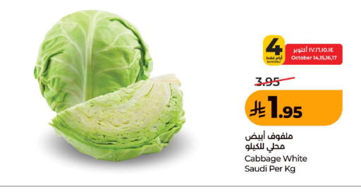 Cabbage from Saudi Arabia available at LULU Hypermarket in KSA, Saudi Arabia, Saudi - Jeddah