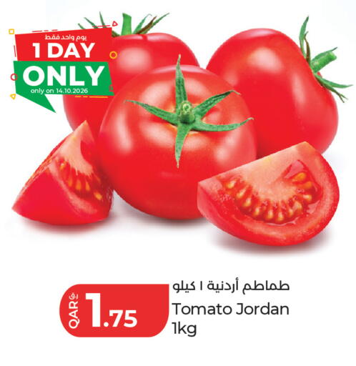 Tomato from Jordan available at لولو هايبرماركت in قطر - أم صلال