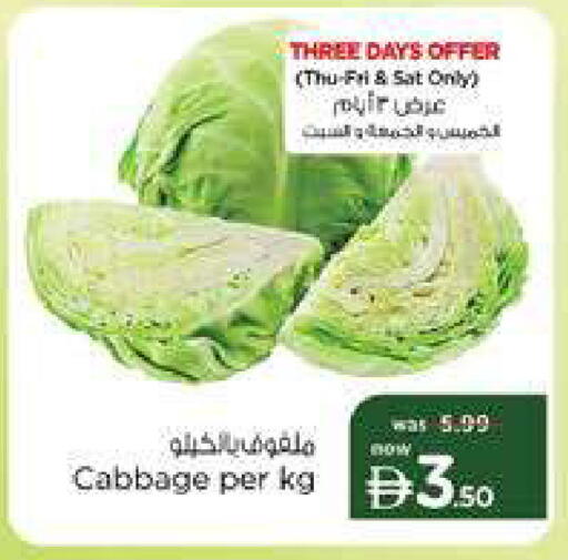 Cabbage available at نستو هايبرماركت in الإمارات العربية المتحدة , الامارات - دبي