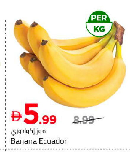 Banana from Ecuador available at Mark & Save in UAE - Dubai