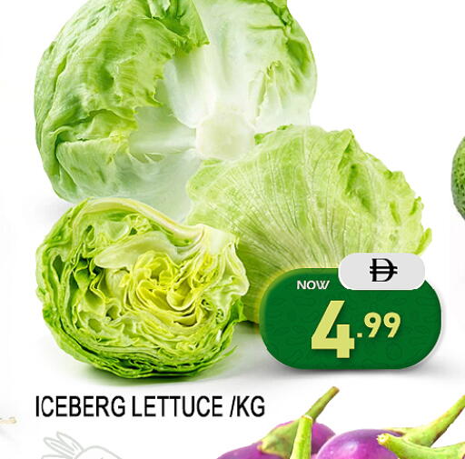 Mango Lettuce available at مانجو هايبرماركت in الإمارات العربية المتحدة , الامارات - الشارقة / عجمان