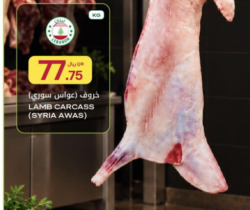 available at شركة الميرة للمواد الاستهلاكية in قطر - أم صلال