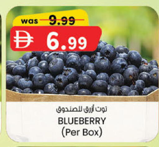 Blueberry BlueBerry متوفر لدى ك. الم. للتجارة في الإمارات العربية المتحدة , الامارات - دبي