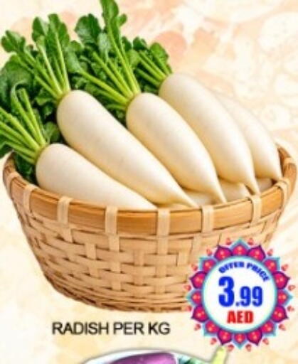 Radish available at Green Gift Department Store in UAE - Dubai