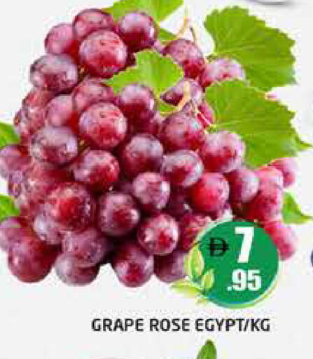 from Egypt available at هايبر ماركت باسونز in الإمارات العربية المتحدة , الامارات - دبي