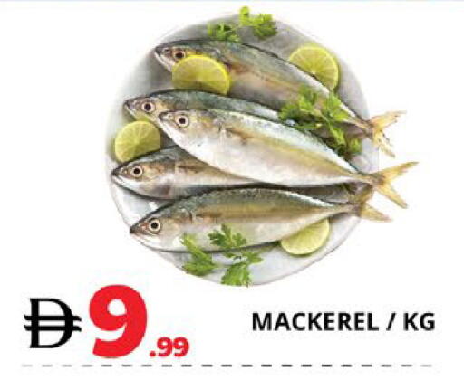 available at EXPRESS AL MADEENA HYPERMARKET LLC in UAE - Abu Dhabi