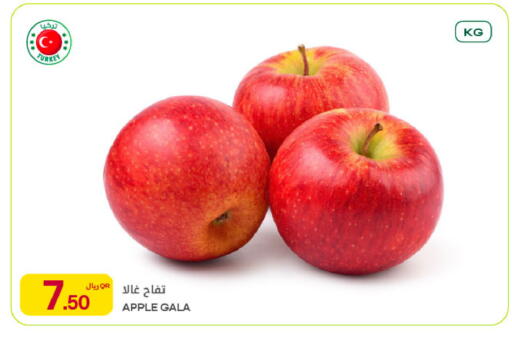 Apple from Turkey available at شركة الميرة للمواد الاستهلاكية in قطر - أم صلال