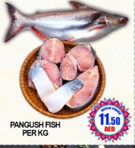available at Green Gift Department Store in UAE - Dubai