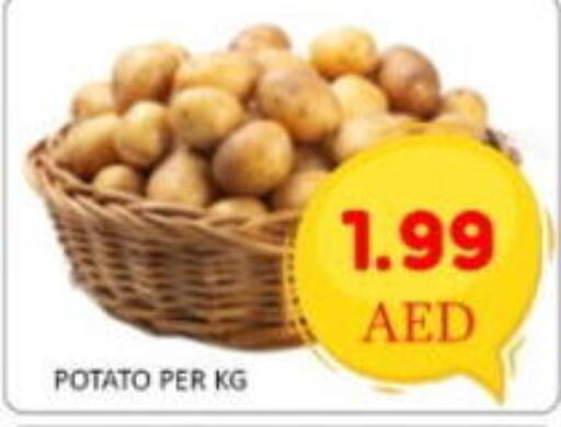 available at GREEN GIFT DEPARTMENT STORE in UAE - Abu Dhabi
