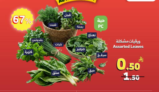 available at Al Raya in KSA, Saudi Arabia, Saudi - Ta'if