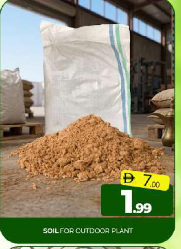available at Al Madina  in UAE - Sharjah / Ajman