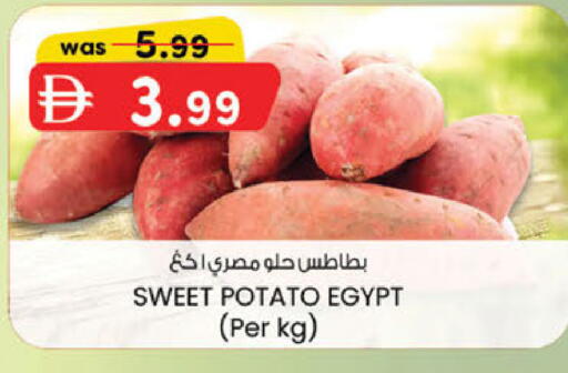 Sweet Potato من Egypt متوفر لدى ك. الم. للتجارة في الإمارات العربية المتحدة , الامارات - دبي