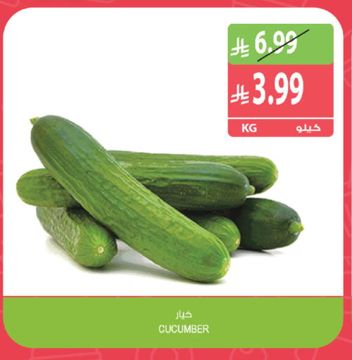 Cucumber available at Farm  in KSA, Saudi Arabia, Saudi - Al Khobar