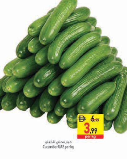 Cucumber available at السفير ماركت in الإمارات العربية المتحدة , الامارات - أبو ظبي