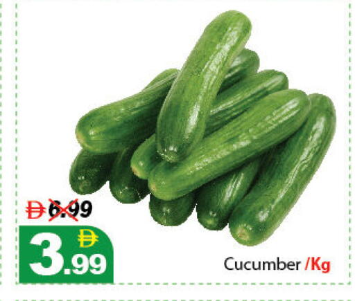 Cucumber available at DESERT FRESH MARKET  in UAE - Abu Dhabi
