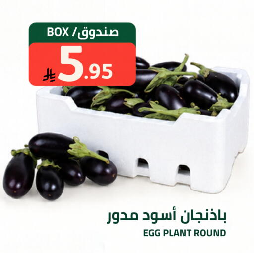 available at Astra Markets in KSA, Saudi Arabia, Saudi - Tabuk