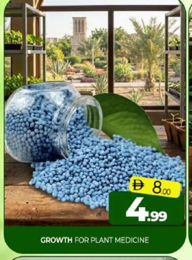 available at Al Madina  in UAE - Sharjah / Ajman