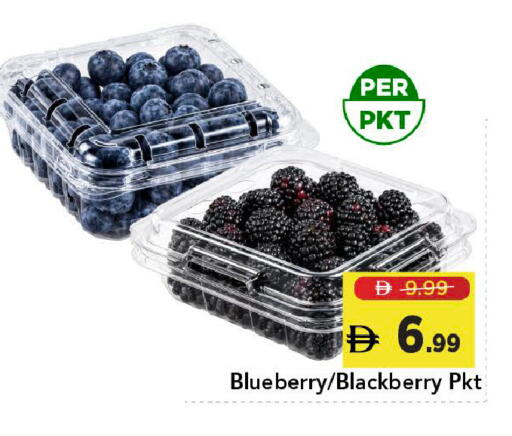 Blueberry BlueBerry Blackberry available at Mark & Save in UAE - Dubai