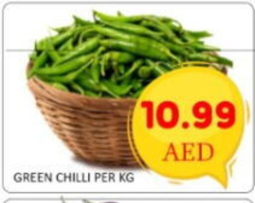 available at GREEN GIFT DEPARTMENT STORE in UAE - Abu Dhabi