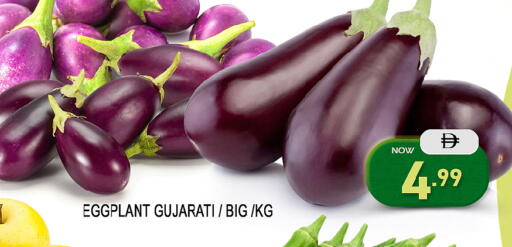 Mango Eggplant available at مانجو هايبرماركت in الإمارات العربية المتحدة , الامارات - الشارقة / عجمان