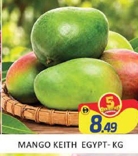 Mango من Egypt متوفر لدى مانجو هايبرماركت في الإمارات العربية المتحدة , الامارات - دبي