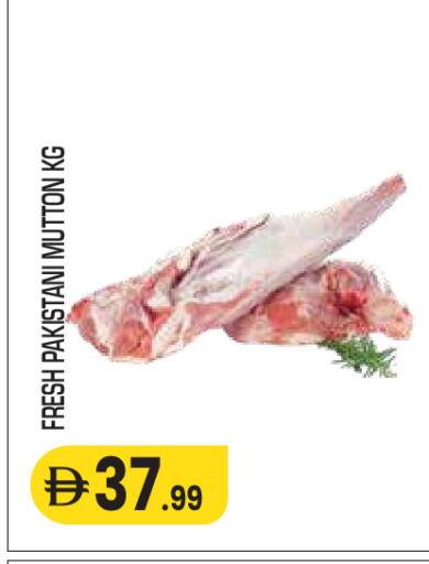 available at Baniyas Spike  in UAE - Umm al Quwain