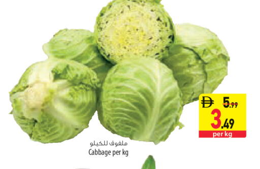 Cabbage available at السفير ماركت in الإمارات العربية المتحدة , الامارات - أم القيوين‎