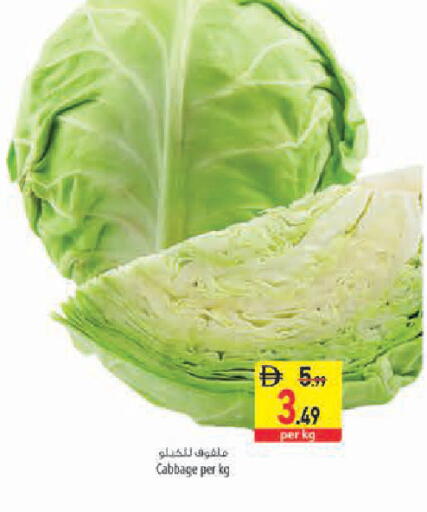 Cabbage available at السفير ماركت in الإمارات العربية المتحدة , الامارات - أبو ظبي
