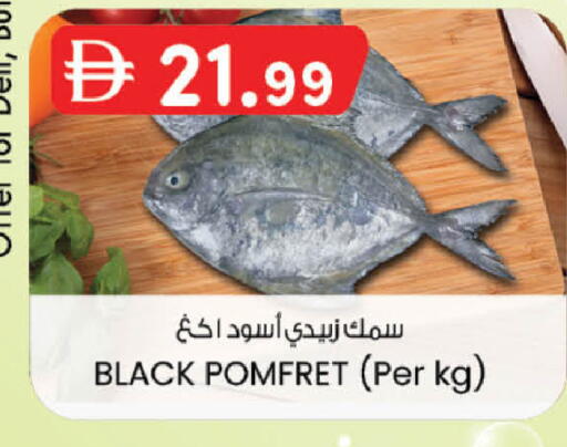 available at Safa Express Supermarket in UAE - Al Ain