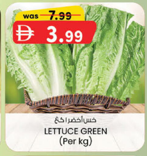 Lettuce متوفر لدى ك. الم. للتجارة في الإمارات العربية المتحدة , الامارات - أبو ظبي