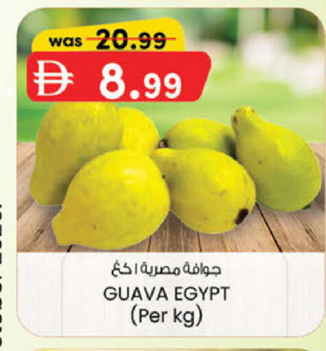 Guava from Egypt available at K M Trading  in UAE - Abu Dhabi