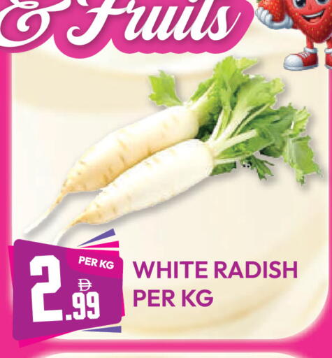 Radish متوفر لدى دريم لاند في الإمارات العربية المتحدة , الامارات - دبي