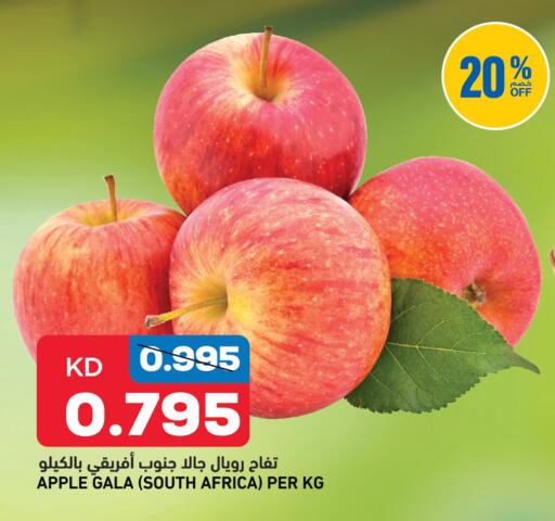 Apple from South Africa available at Oncost in Kuwait - Kuwait City