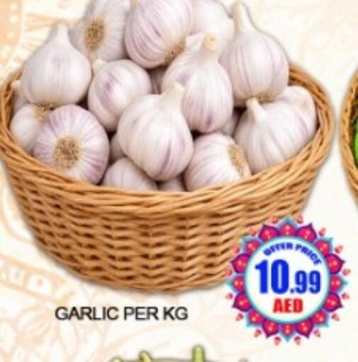 Garlic available at Green Gift Department Store in UAE - Dubai