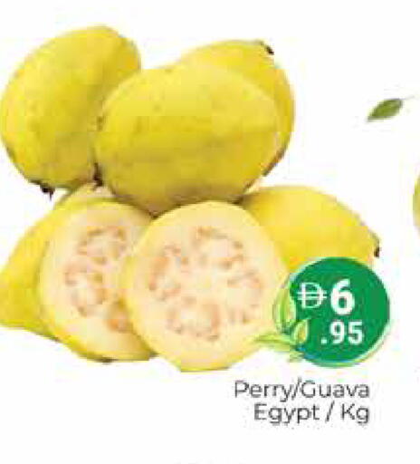 Guava from Egypt available at هايبر ماركت باسونز in الإمارات العربية المتحدة , الامارات - دبي