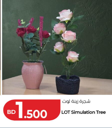 متوفر لدى لولو هايبر ماركت في البحرين