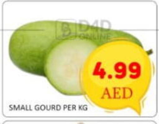 Tomato available at GREEN GIFT DEPARTMENT STORE in UAE - Abu Dhabi