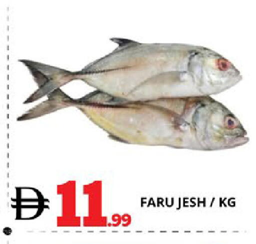 available at EXPRESS AL MADEENA HYPERMARKET LLC in UAE - Abu Dhabi