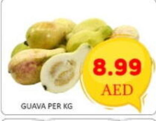 available at GREEN GIFT DEPARTMENT STORE in UAE - Abu Dhabi