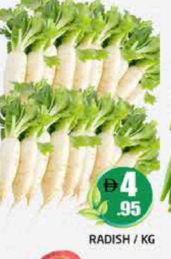 Radish متوفر لدى هايبر ماركت باسونز في الإمارات العربية المتحدة , الامارات - دبي